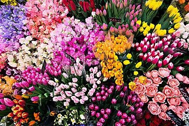 时光倒流！2D横版复古作品《恐龙战队：丽塔回溯》公布